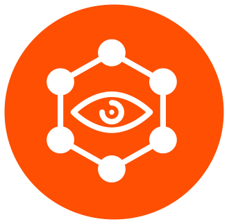 Vision Icon